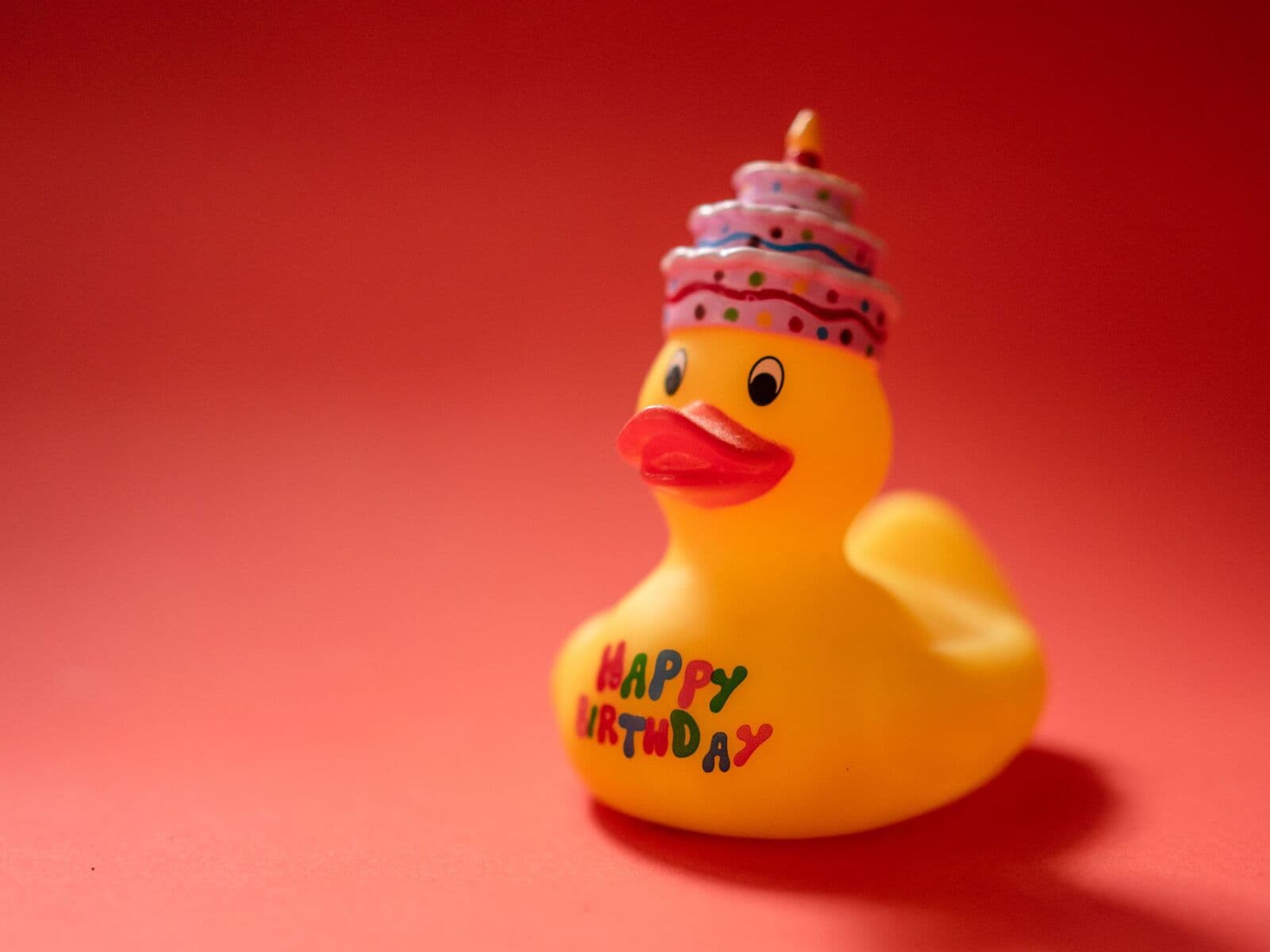 A yellow rubber duck on a bright red background