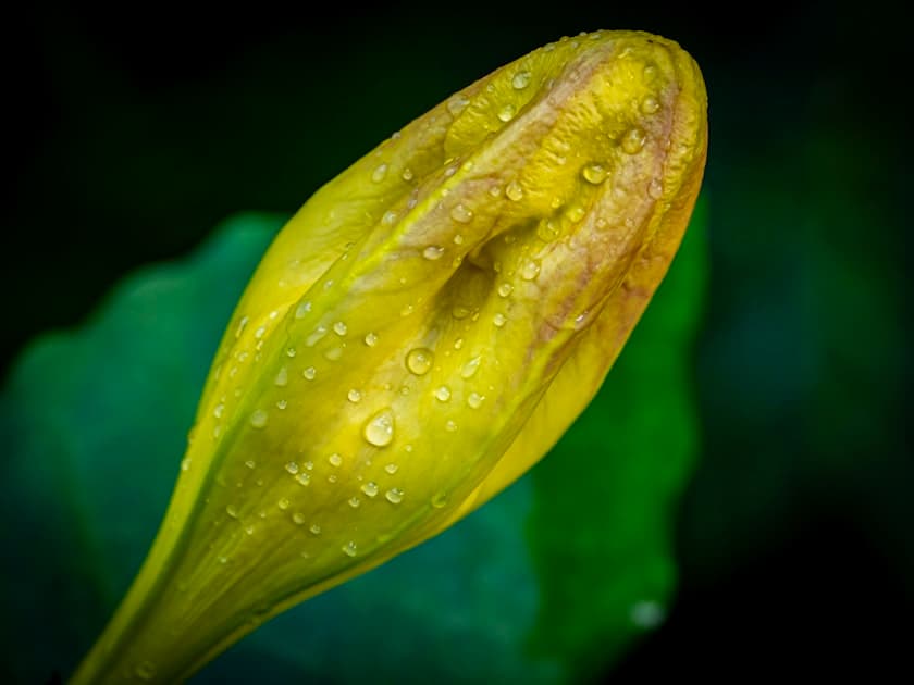 Foreskin Care in Boys: What's Normal and What's Not