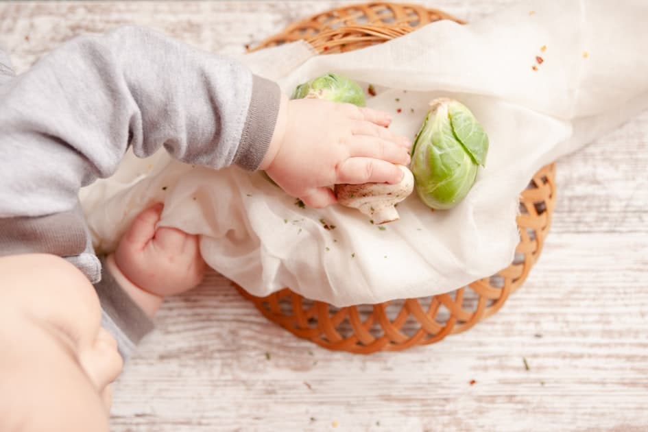 First Foods for Babies: Where to Begin with Weaning